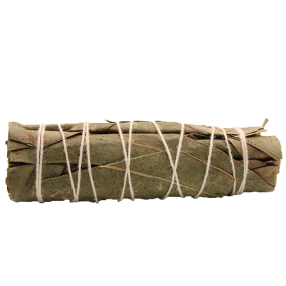 Smudge Stick - Eucalyptus Sage 10cm